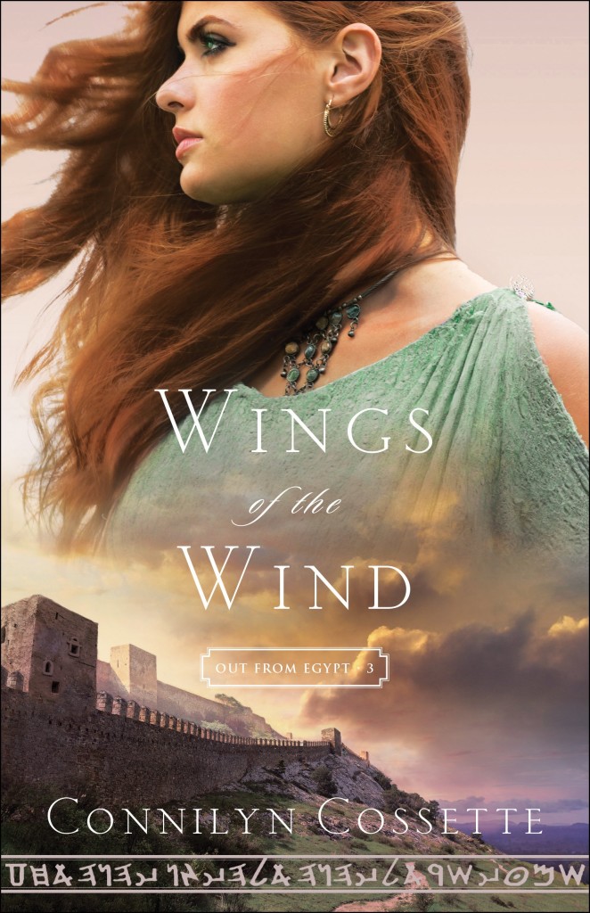 Wings-of-the-Wind-662x1024